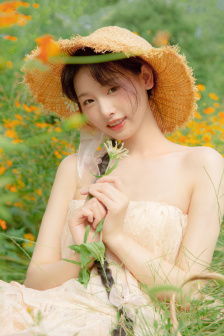 谍战剧《鹞子》